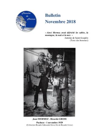 BullMemMern2018.11